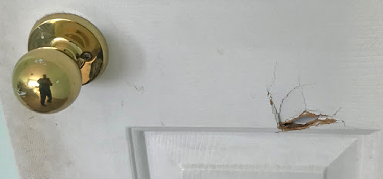 interior door hole repair Lucas Valley-Marinwood
